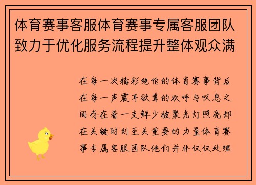 体育赛事客服体育赛事专属客服团队致力于优化服务流程提升整体观众满意度水平